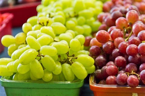 Are Grapes a Citrus Fruit? Exploring the Curious Connection Between Grapes and Citrus