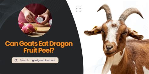 Can Goats Eat Dragon Fruit: Exploring the Mythical and the Mundane