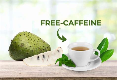 Does Soursop Tea Have Caffeine? And Why Do Some People Think It Tastes Like a Tropical Storm?