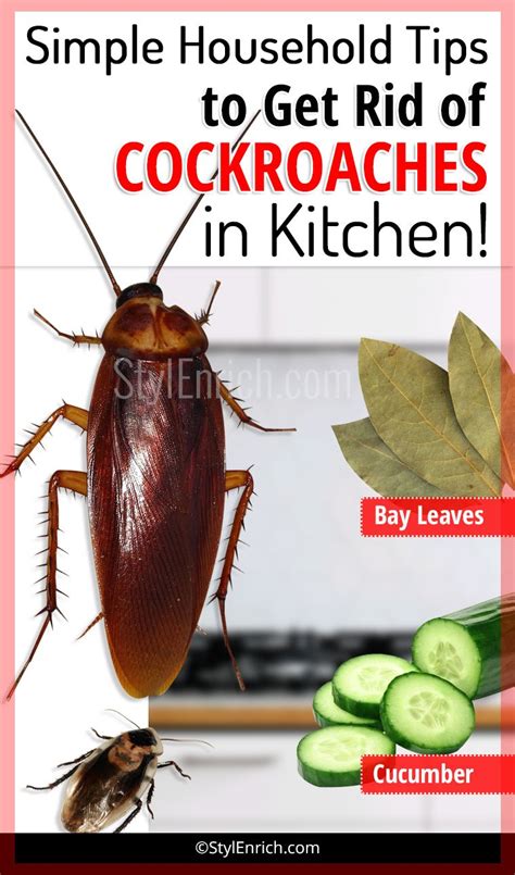 How to Get Rid of Small Roaches in Kitchen: A Comprehensive Guide