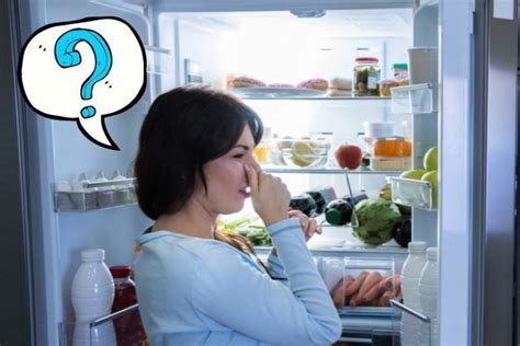 How to Get Rotten Food Smell Out of Fridge: And Why Your Fridge Might Secretly Be a Portal to Another Dimension