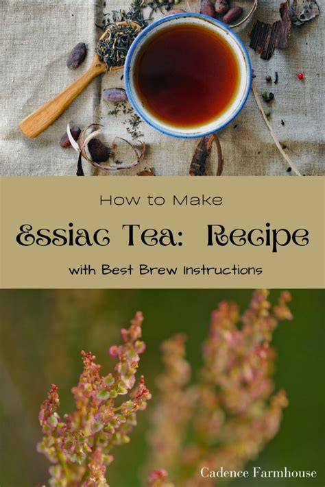 How to Make Essiac Tea: A Journey Through Herbal Alchemy and Cosmic Connections