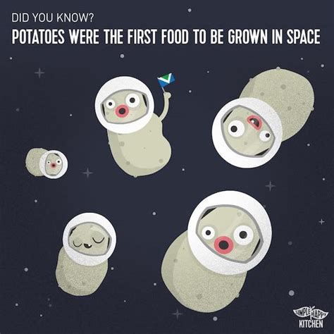 Is a Potato a Fruit or a Vegetable? And Why Do Astronauts Prefer Mashed Potatoes in Space?