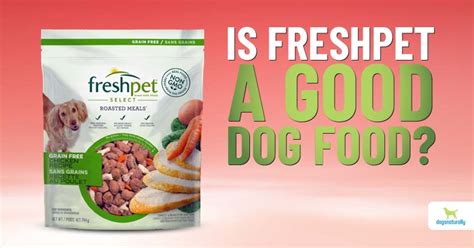 Is Freshpet Dog Food Good for Dogs? Exploring the Bark-Worthy Debate