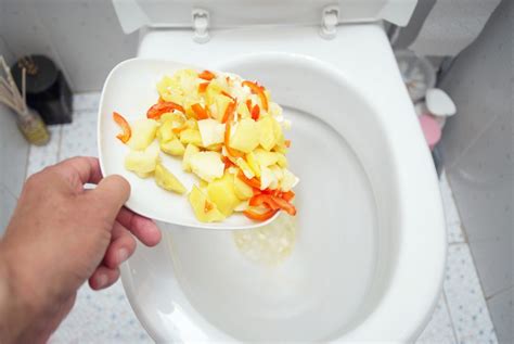 Is It Ok to Flush Food Down the Toilet: A Journey Through Plumbing, Ecology, and Culinary Curiosity