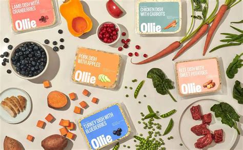 Where is Ollie Dog Food Made: A Journey Through the Culinary Canine World